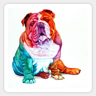 Full Color Bulldog Sticker